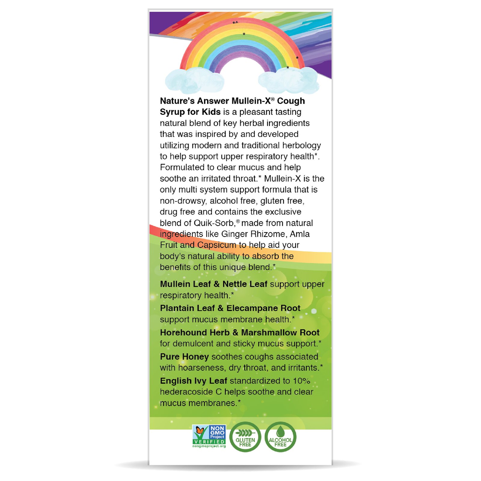 Mullein X KIDS - Image 4