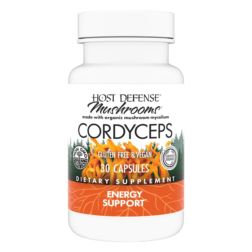 Cordyceps (Cordyceps Militaris) - Image 2