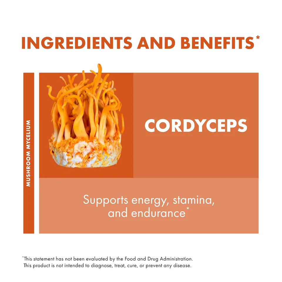 Cordyceps (Cordyceps Militaris) - Image 6