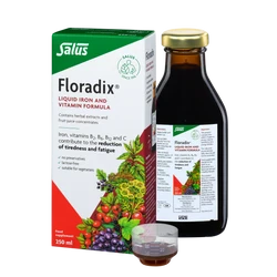 Floradix Iron