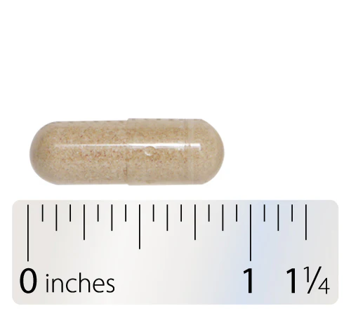Lipotrophic - Image 3